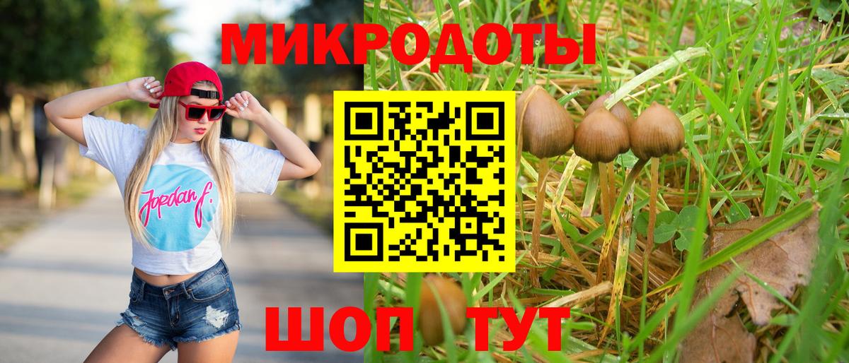 Бийск  Псилоцибиновые грибы Psilocybine cubensis  где найти   Вход с VPN 